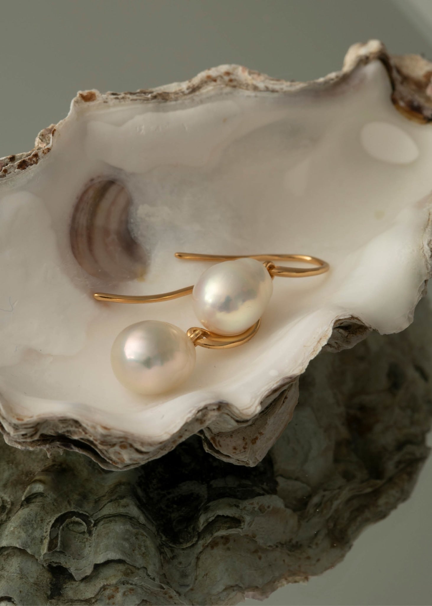 Elegante og klassiske perleøreringe til konfirmation og bryllup i guld med hvide, barokke ferskvandsperler i en muslingeskal