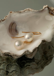Elegante og klassiske perleøreringe til konfirmation og bryllup i guld med hvide, barokke ferskvandsperler i en muslingeskal
