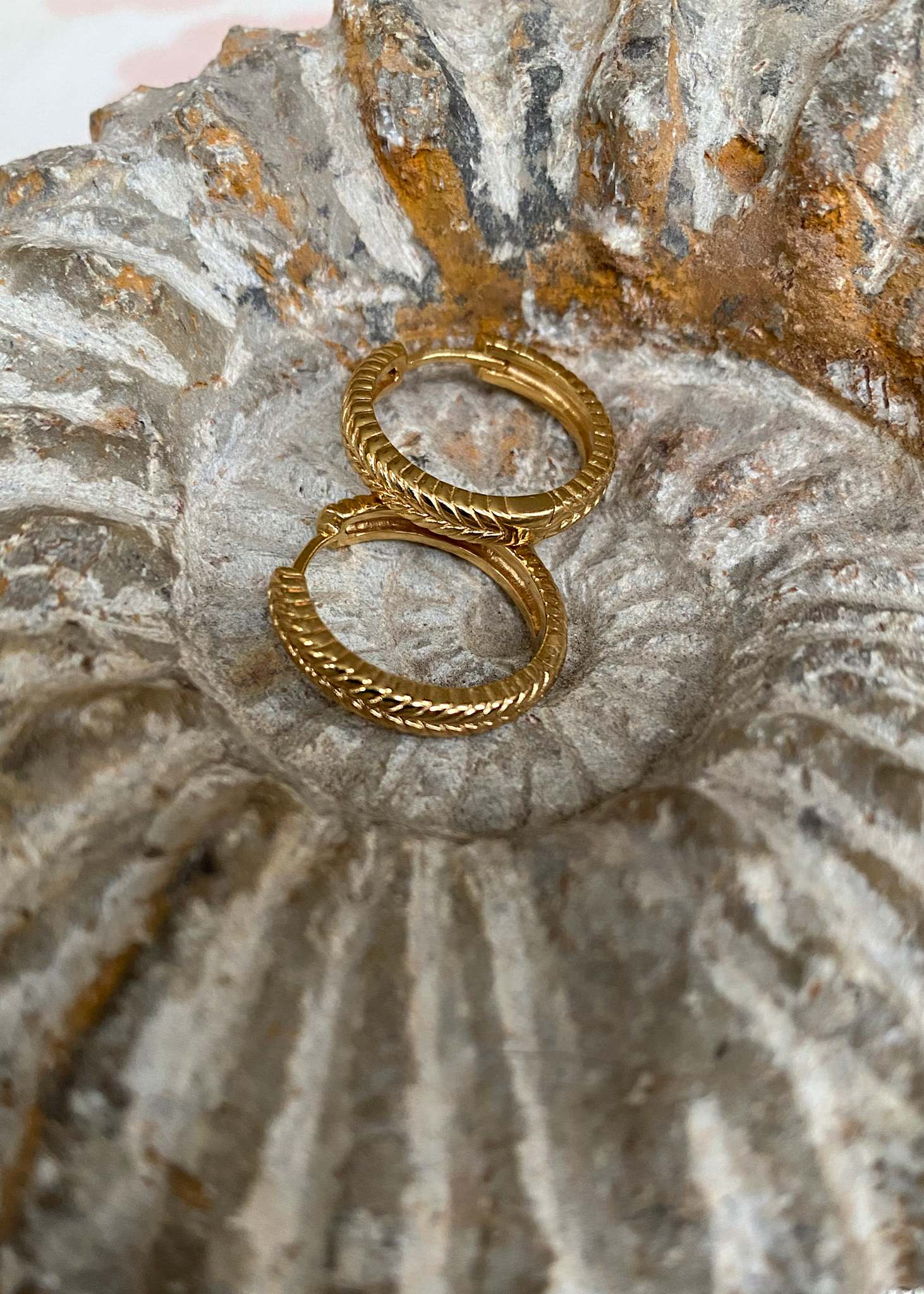 Fishbone großer Creolen 2 cm 1 stk - vergoldet